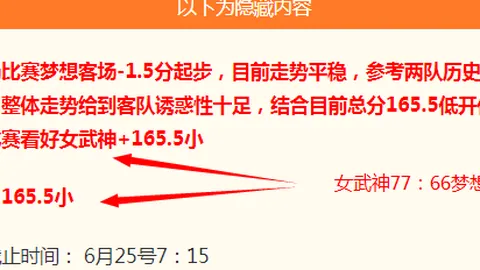 篮球盛宴美洲杯赛事，不容错过的精彩对决