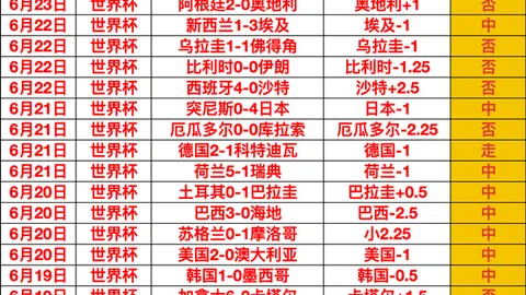 世界杯 110113 7